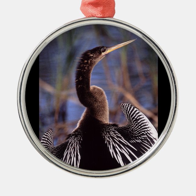 Ornamento De Metal anhinga e asas (Frente)