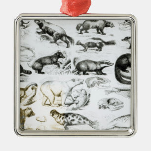 Ornamento De Metal Animais carnívoros