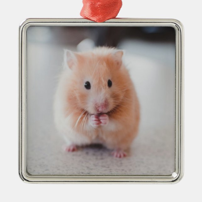 Ornamento De Metal Animais de Amor de Hamster Bonito (Frente)