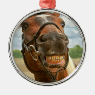 Ornamento De Metal Animal - cavalo - eu obtive finalmente minhas