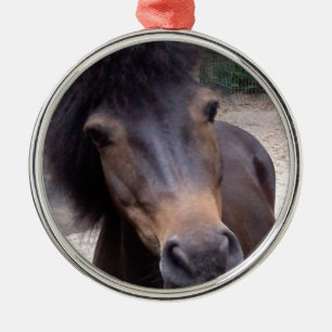 Ornamento De Metal Animal, Cavalo, Pony