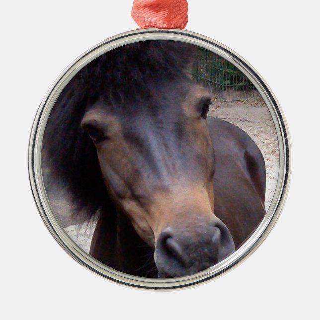 Ornamento De Metal Animal, Cavalo, Pony (Frente)