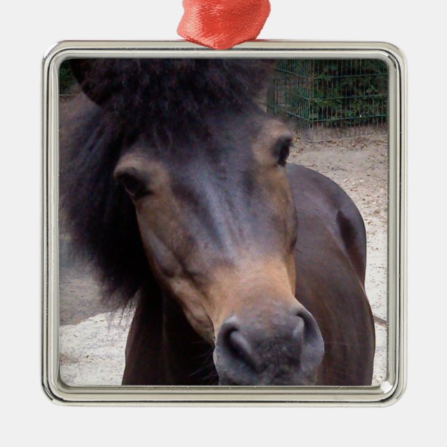 Ornamento De Metal Animal, Cavalo, Pony (Frente)
