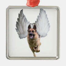Anjo do german shepherd