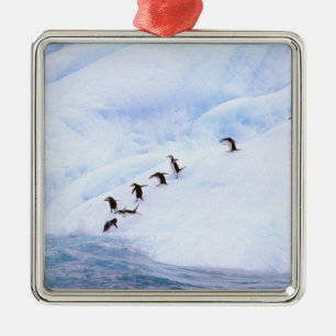 Ornamento De Metal Antártida, Península Antártica. Pinguim-de-barbich