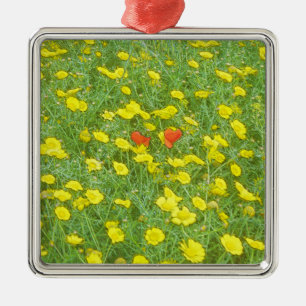 Ornamento De Metal Aquarela papoulas