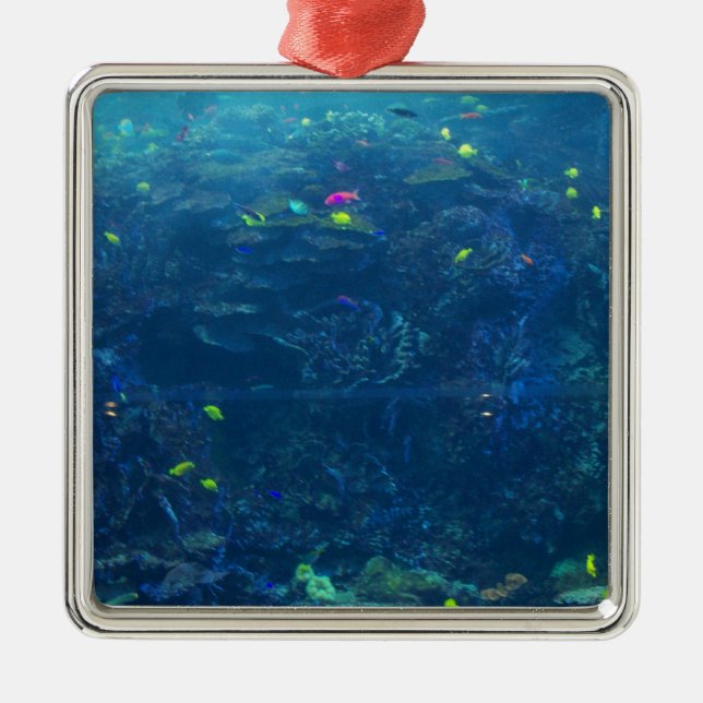 Ornamento De Metal Aquário de Geórgia (Frente)