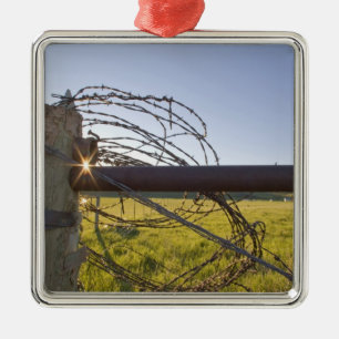 Ornamento De Metal Arame farpado rolado acima no fencerow próximo