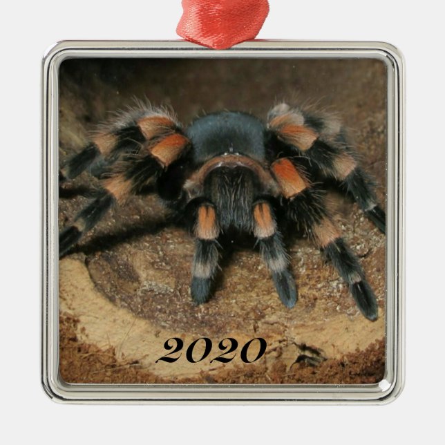 Ornamento De Metal Aranha Vermelha Mexicana Tarantula (Frente)