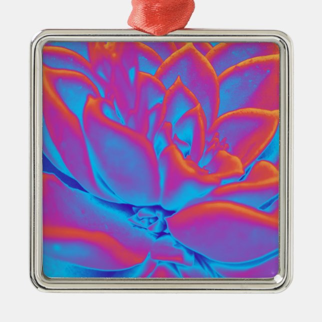 Ornamento De Metal Arco-íris - Planta suculenta (Frente)