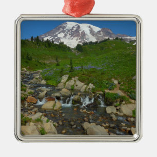 Ornamento De Metal Arroyo Edith no Parque Nacional Mount Rainier