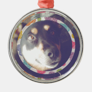 Ornamento De Metal arte de Digitas do cão