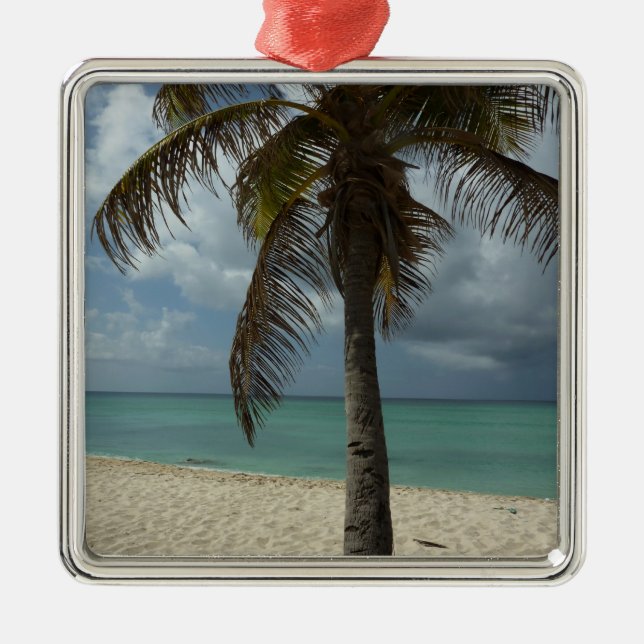 Ornamento De Metal Aruban Beach I Linda cena natural (Frente)