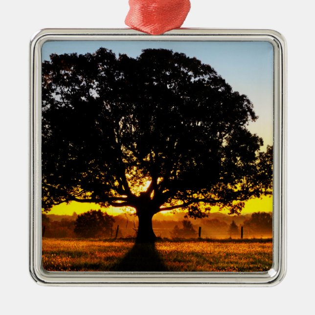 Ornamento De Metal Árvore na manhã (Frente)