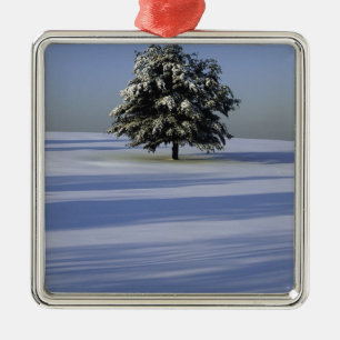 Ornamento De Metal Árvore na paisagem coberto de neve
