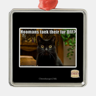 Ornamento De Metal As Hoomans pegam pelo?