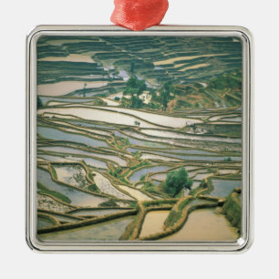 Ornamento De Metal Ásia, China. Terraces de arroz inundados perto de