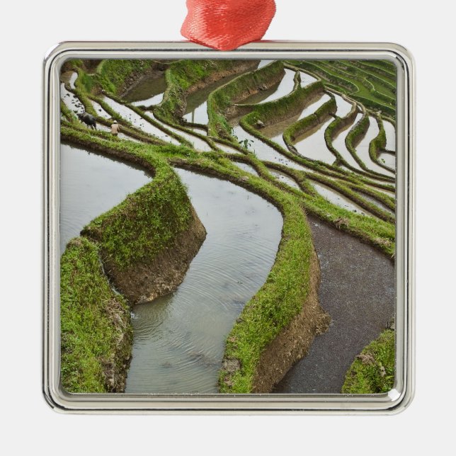 Ornamento De Metal Ásia, China, Yunnan, Yuanyang. Arroz inundado (Frente)