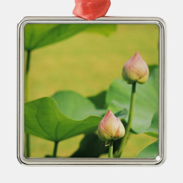 Ornamento De Metal Ásia, Tailândia, Bangkok. Grand Palace, Lotus (Frente)