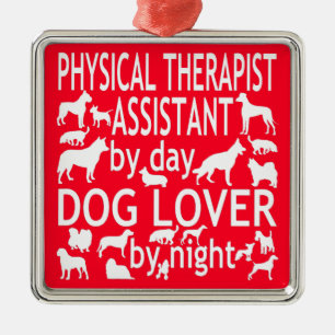 Ornamento De Metal Assistente Terapêutico Físico Ama Cães