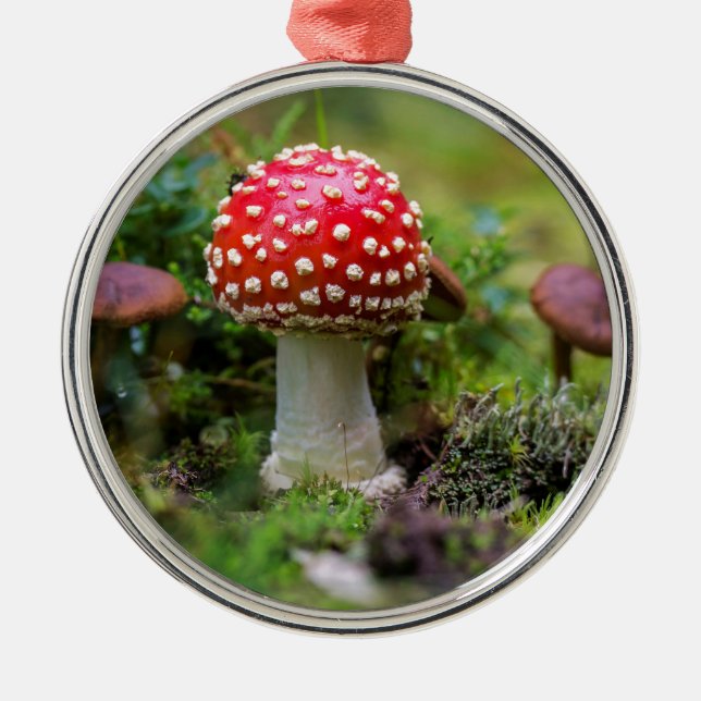 Ornamento De Metal Autumn Beauty (Frente)