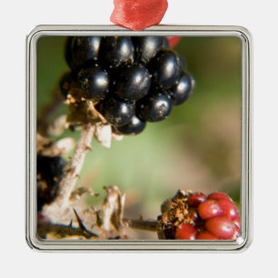 Ornamento De Metal Autumn Berries