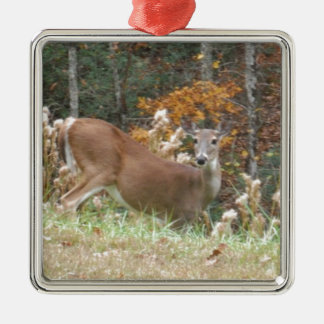 Ornamento De Metal Autumn Deer no lago Arrohouad GA