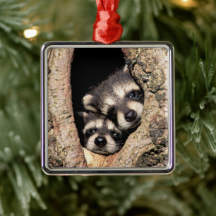 Ornamento De Metal Baby Raccoons saindo da árvore
