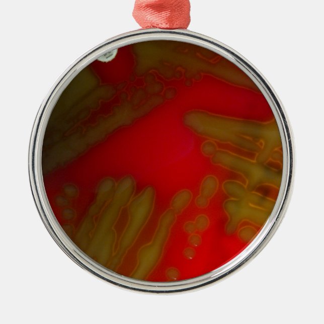 Ornamento De Metal Bactérias de Penumonia (Frente)