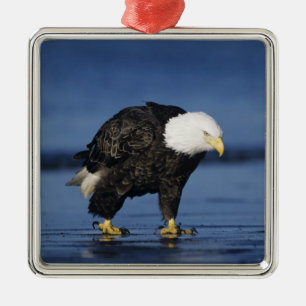 Ornamento De Metal Bald Eagle