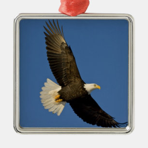Ornamento De Metal Bald Eagle, Haliaeetus leucocephalus, Homer,