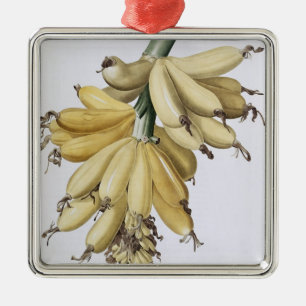 Ornamento De Metal Banana, 1816