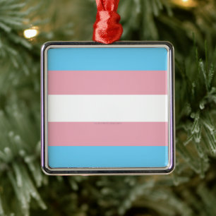 Ornamento De Metal bandeira do orgulho transgênero da diversidade Sli