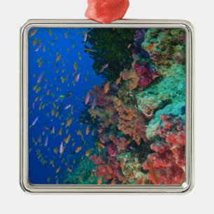 Ornamento De Metal Bassetes-Fadas Escolares (Pseudanthias