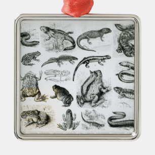 Ornamento De Metal Batráquios e outros anfíbios