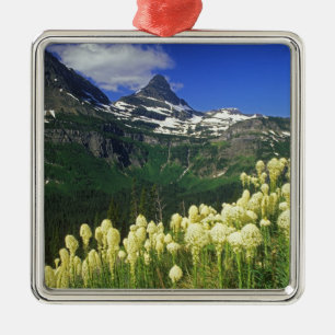 Ornamento De Metal Beargrass no Logan Pass no Parque Nacional Glacier