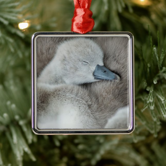 Ornamento De Metal Bebês Mais Pobres | Bebê-Mute Swan (Árvore)