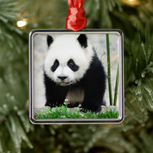 Ornamento De Metal Bebês Mais Pobres   Bebê-Panda