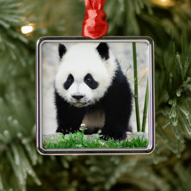 Ornamento De Metal Bebês Mais Pobres | Bebê-Panda (Árvore)
