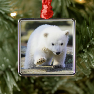 Ornamento De Metal Bebês Mais Pobres Bebê-Urso Polar