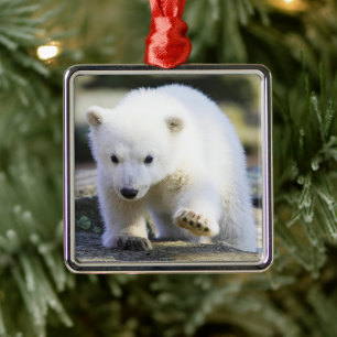 Ornamento De Metal Bebês Mais Pobres Bebê-Urso Polar