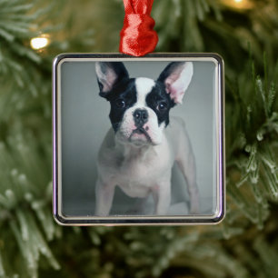 Ornamento De Metal Bebês Mais Pobres Buldogue francês