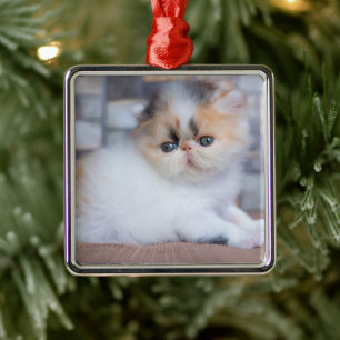 Ornamento De Metal Bebês Mais Pobres Calico Pérsico Kitten