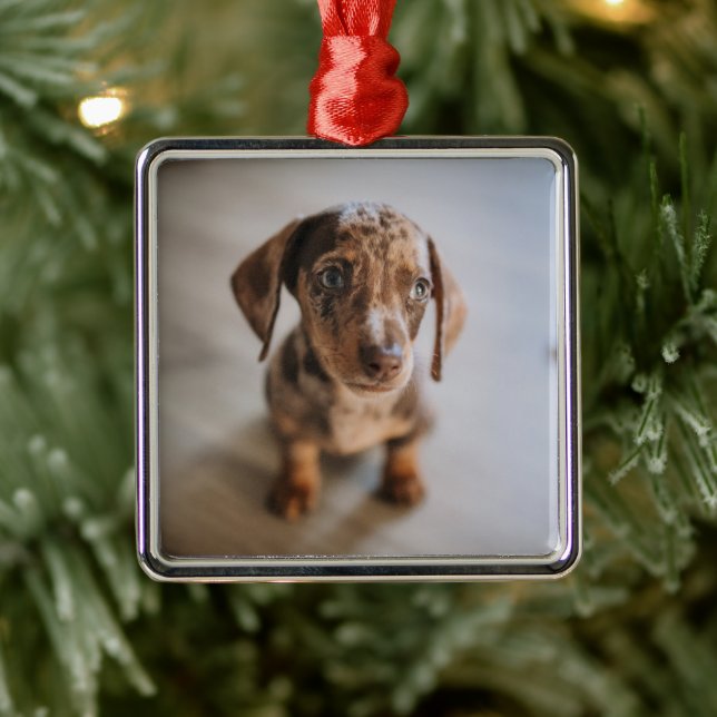 Ornamento De Metal Bebês Mais Pobres | Castanho Dachshund Puppy (Árvore)