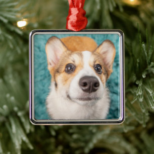 Ornamento De Metal Bebês Mais Pobres Corgi Doce Face Puppy