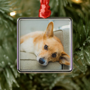 Ornamento De Metal Bebês Mais Pobres Corgi Puppy no sofá