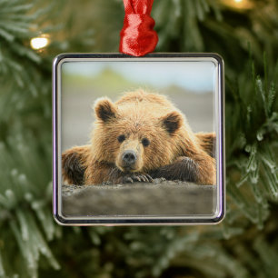 Ornamento De Metal Bebês Mais Pobres Cubo-Urso-Marrom Costeiro