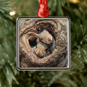 Ornamento De Metal Bebês Mais Pobres   Dois esquilos jovens