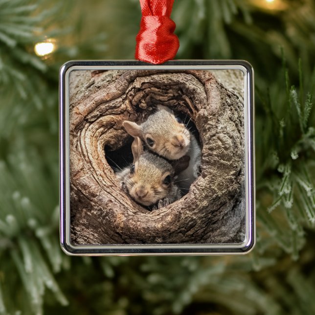 Ornamento De Metal Bebês Mais Pobres | Dois esquilos jovens (Árvore)
