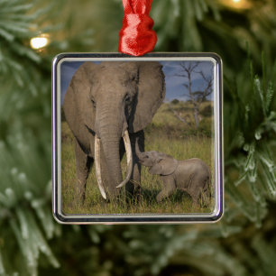 Ornamento De Metal Bebês Mais Pobres Elefante Amama Com Bebê